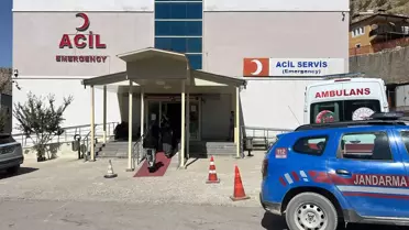Ceviz Toplarken Düşen Adam Hayatını Kaybetti