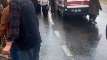 İspir'de Koyun Yüklü TIR Kazası