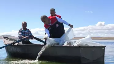 Kars'ta 500 Bin Yavru Sazan Bırakıldı