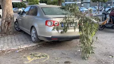 Mersin'de Kırılan Dal Araca Zarar Verdi