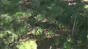 Adana'da Uyuşturucu Operasyonu: 2 Şüpheli Yakalandı