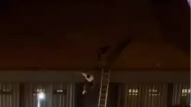 Mersin'de Konserin Çatısında Yaşanan Arbede Güvenlik Tartışmalarını Alevlendirdi