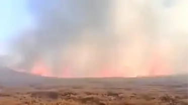 Şanlıurfa'da Orman Yangını Devam Ediyor