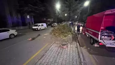 Takla atan otomobilden çıkartılan sürücünün ilk isteği şaşırttı