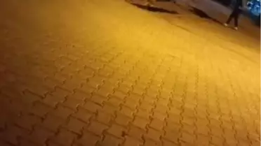 Damat Kayınpederini Vurdu