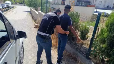Ağrı'da Okul Çevrelerinde Denetim