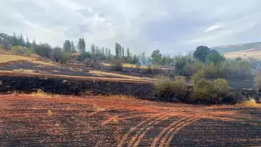Çorum'da 250 Dönüm Tarla ve 15 Dönüm Orman Yangınından Zarar Gördü