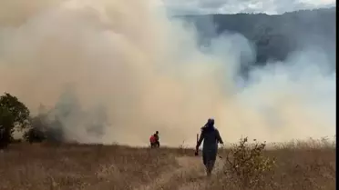 Yığılca'da Fındık Bahçesinde Yangın