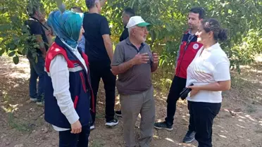 Yapağlı Köyü'nde Ceviz Hasadı Öncesi İnceleme