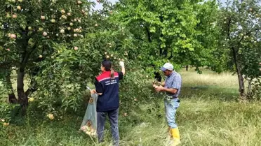 Kağızman'da Elma Bahçelerinde Pestisit Denetimi