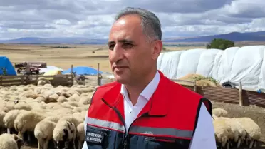 Kars'ta 1,5 Milyon Koyun ve Keçi Aşılanıyor