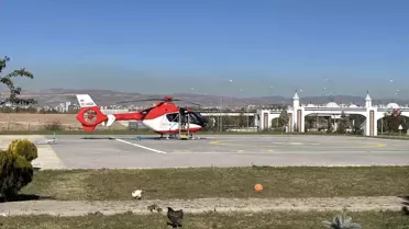Ayı Saldırısına Uğrayan Kadın Hastanede