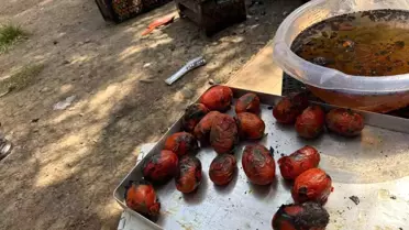 Ağrı'da Kış Hazırlıkları