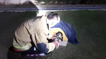 Yaralı Kedi İtfaiye Tarafından Kurtarıldı