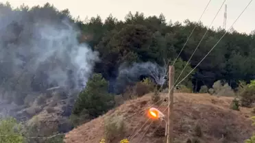 Ovacık'ta Orman Yangını Kontrol Altına Alındı