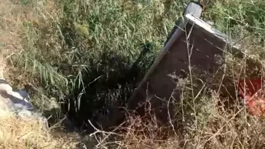 At, Tahliye Kanalından Kurtarıldı