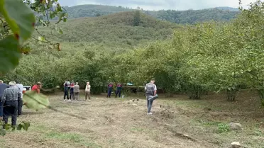 Traktör Kazası: 89 Yaşındaki Adam Hayatını Kaybetti