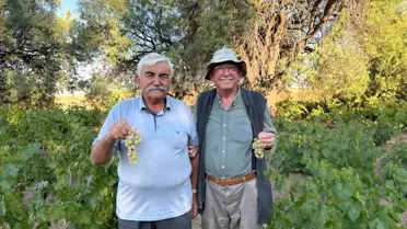 Evren'de Ata Tohumuyla Üzüm Hasadı Başladı