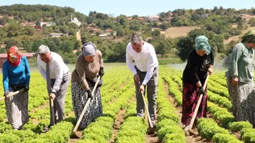 Kocaeli Büyükşehir Belediyesi'nden Çiftçilere 1 Milyar TL Destek