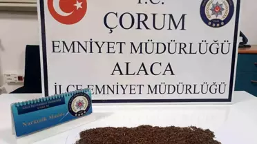 Alaca'da Uyuşturucu Operasyonu