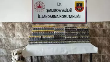 Viranşehir'de Kaçak Sigara Operasyonu