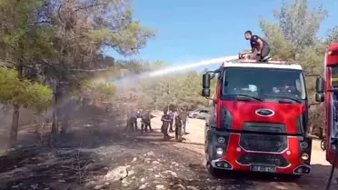 Şanlıurfa'da Orman Yangını Söndürüldü