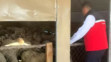 Tekirdağ'da Hayvancılık Ziyareti