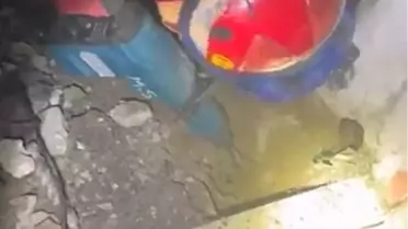 Bursa'da Yavru Kedi Kurtarıldı