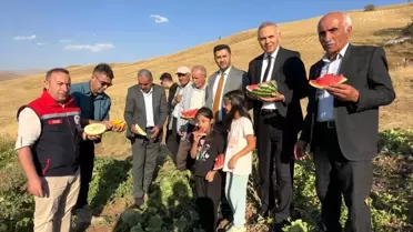 Yüksekova'da Mısır, Karpuz ve Kavun Hasadı Başladı