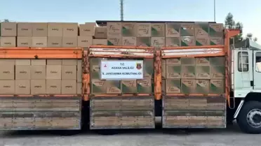 Adana'da 5.5 Milyon Sahte Makaron Ele Geçirildi
