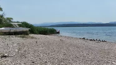 Sapanca Gölü'nde Ekolojik Kriz Uyarısı