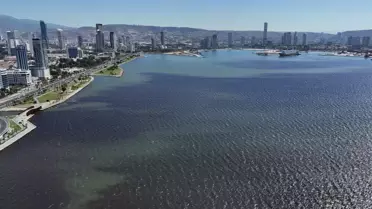 İzmir Körfezi'nde Kötü Koku Sorunu Artıyor