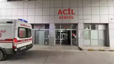 Körfez'de Tavuk Döner Zehirlenmesi Davası