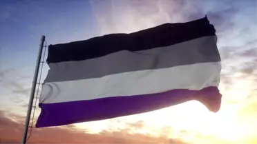 Cinsellik: Çeşitler ve Gerçekler