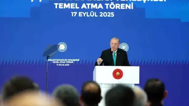 Cumhurbaşkanı Erdoğan: 'Hitler özentisi tiplerin 'kuyruk acısı' belki de hiç geçmeyecek'