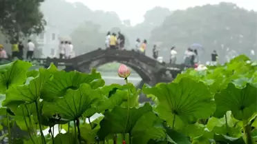 Dünya Biyosfer Rezervleri Kongresi Hangzhou'da