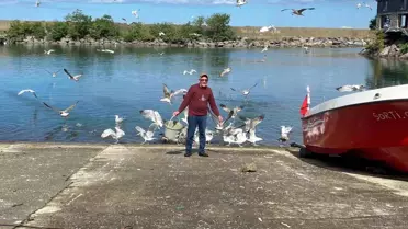 Martılar Hızır Usta'yı Tanıyor