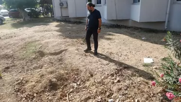 Tam 14 metre uzunluğunda! 4 yıl boyunca toprak altında kaldı, şimdi yeniden çıkarılacak