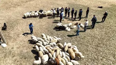 Van'da Çiftçilere Sıfır Faizli Kredi Desteği