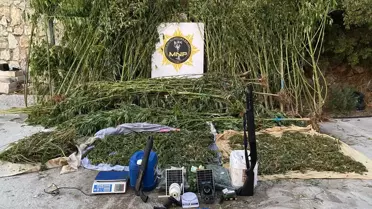 Muğla'da Uyuşturucu Operasyonu: 20 Kilo Esrar Ele Geçirildi