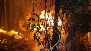 Antalya'da Sazlık Alanda Yangın Paniği