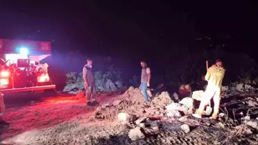 Bingöl'de Orman Yangını Kontrol Altına Alındı
