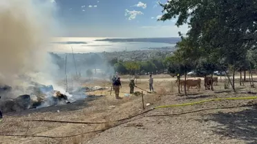 Büyükçekmece'de Yangın: Saman Balya ve Ahır Alev Alev
