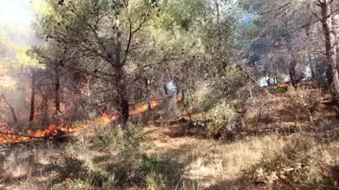 Çanakkale'deki Orman Yangını Kontrol Altına Alındı