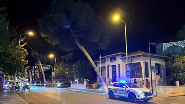 Aydın'da Kuvvetli Rüzgar Ağaç Devrilmesine Neden Oldu