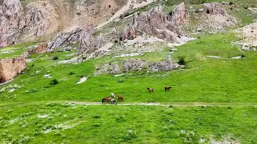 Munzur Dağları'nda Yılkı Atları