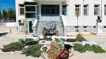 Birecik'te Uyuşturucu Operasyonu