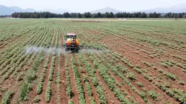 Elita Gıda Sürdürülebilir Tarımda Başarı Elde Etti