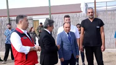 Yaban Hayvanları Doğaya Salındı