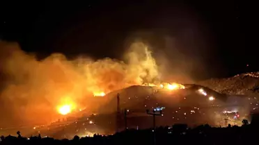 Alanya'da Orman Yangını: Ekipler Müdahale Ediyor